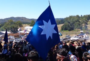 Una bandera azul con la estrella mapuche blanca en el centro.