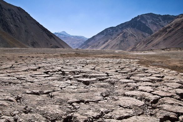Desertificación. Foto de Greenpeace.