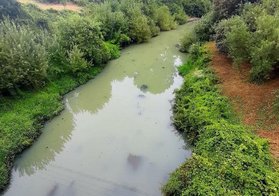<span class='epigrafe'>Medioambiente</span>Secreto a voces: décadas de contaminación fluvial en Osorno