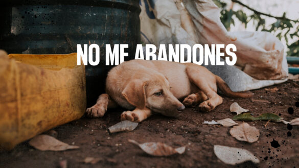 Ley "No me abandones"