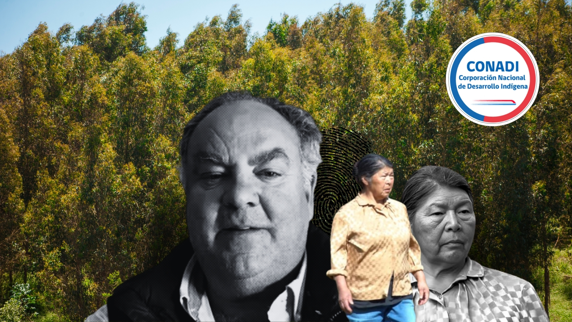 Juan Carlos Morstadt